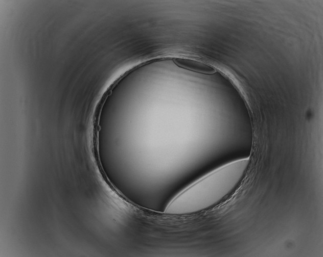 X0000100771147200806190927