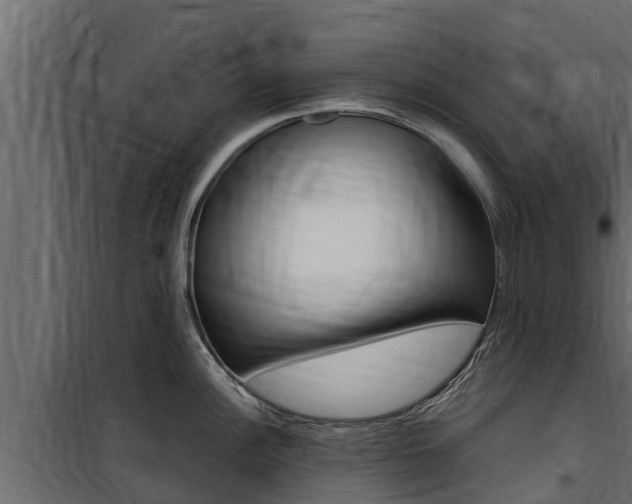 X0000100771148200806190927