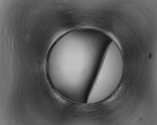 X0000100771149200806190927