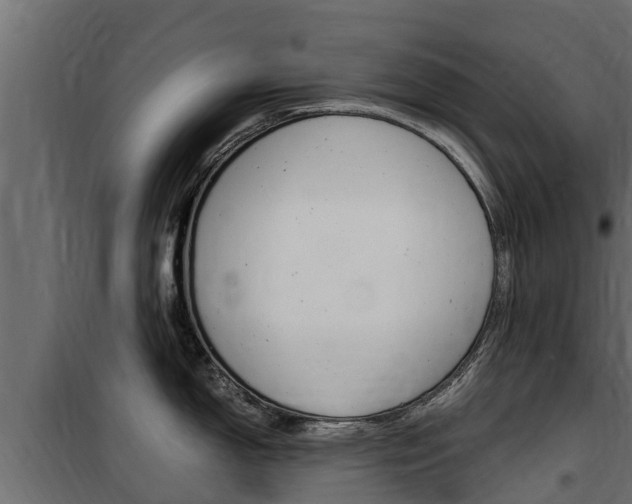 X0000100771150200806190927