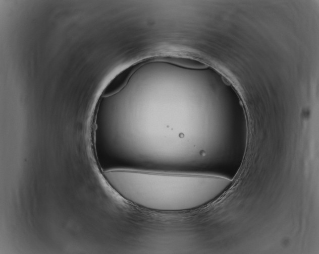 X0000100771152200806190927