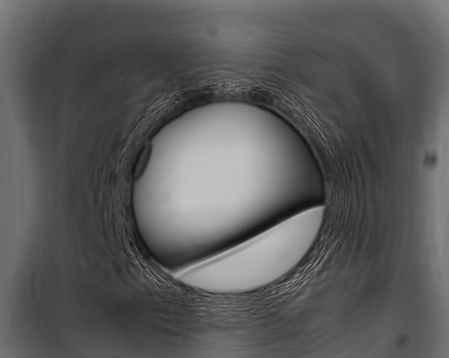 X0000100771153200806190926