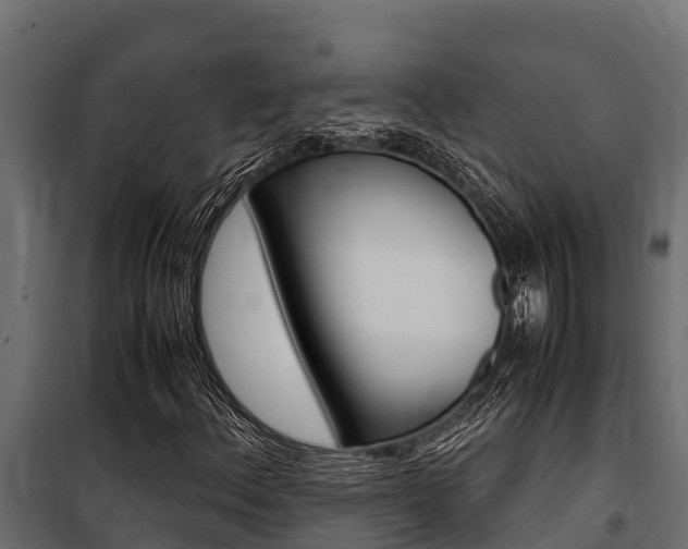 X0000100771156200806190926