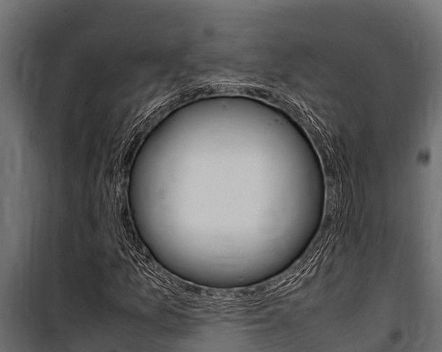X0000100771157200806190926