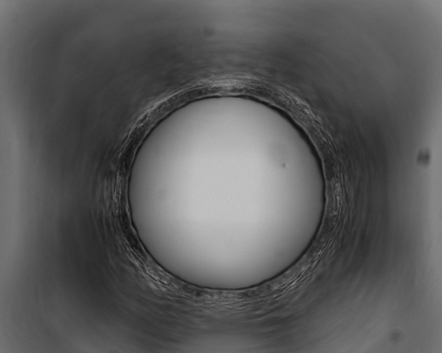 X0000100771158200806190926