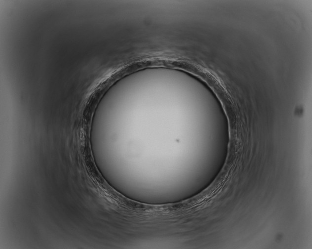 X0000100771159200806190926