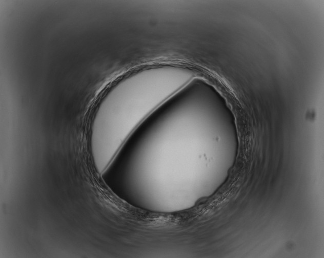 X0000100771160200806190926
