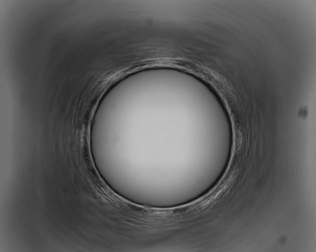 X0000100771161200806190926