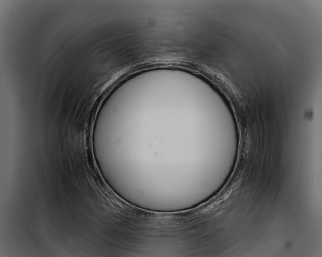 X0000100771162200806190926
