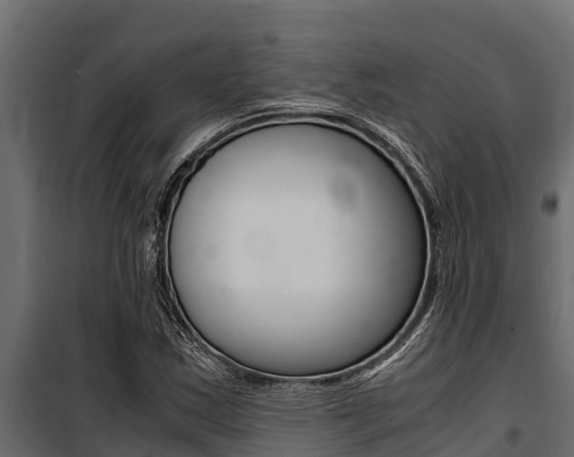 X0000100771163200806190926