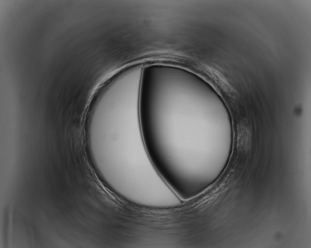 X0000100771164200806190926