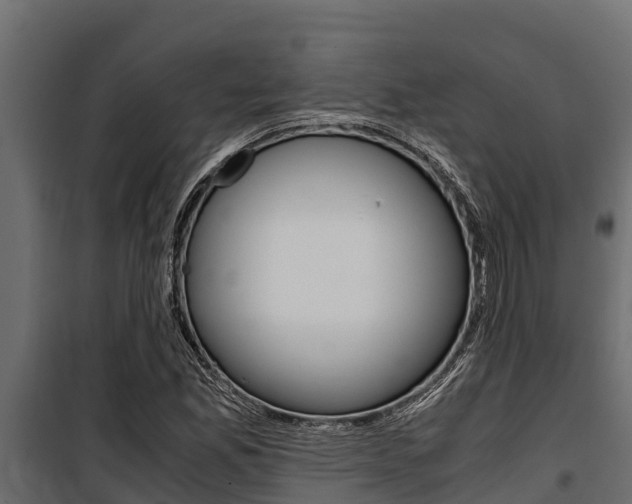 X0000100771165200806190926