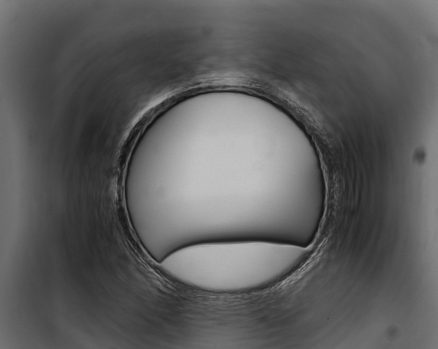 X0000100771166200806190926