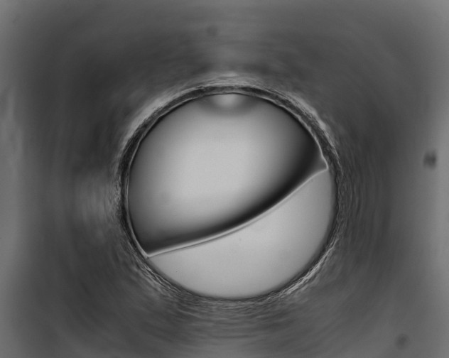 X0000100771167200806190926