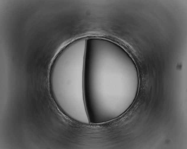 X0000100771168200806190926