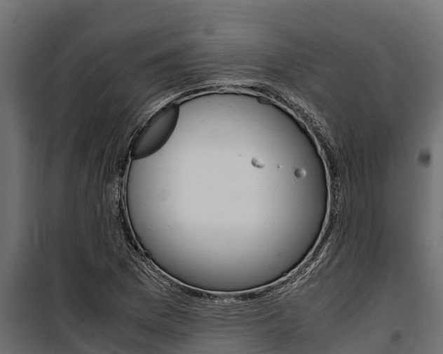 X0000100771169200806190926