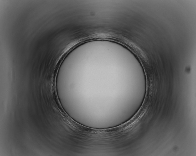 X0000100771170200806190926