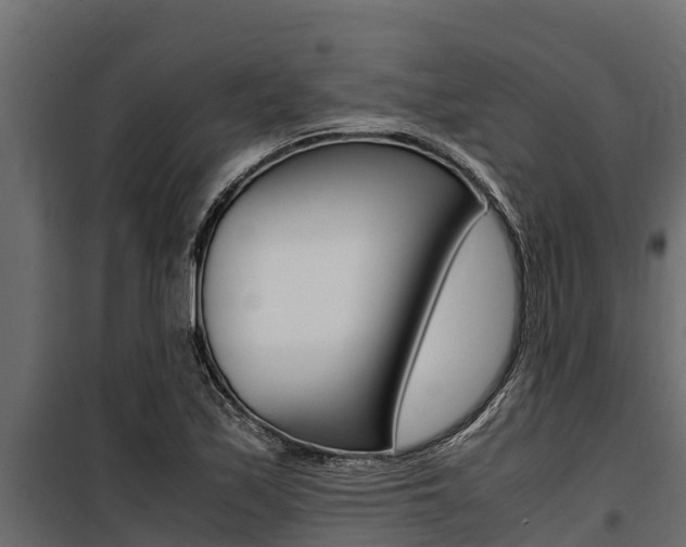 X0000100771171200806190926