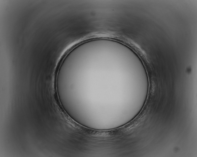 X0000100771174200806190926