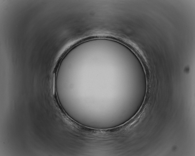 X0000100771175200806190926