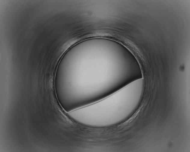 X0000100771177200806190926