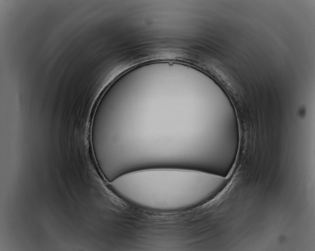 X0000100771178200806190926