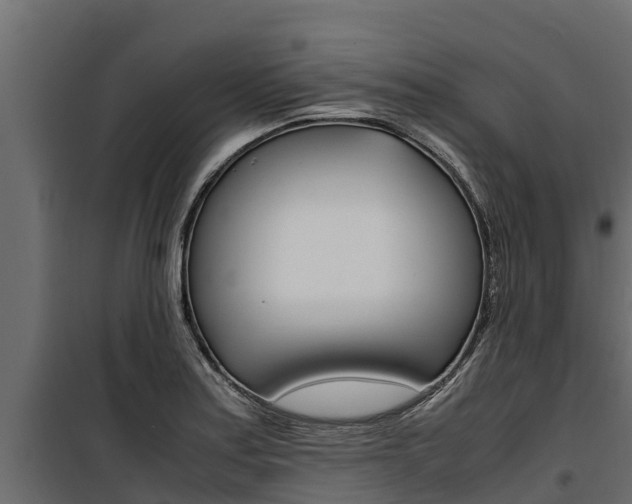 X0000100771179200806190926