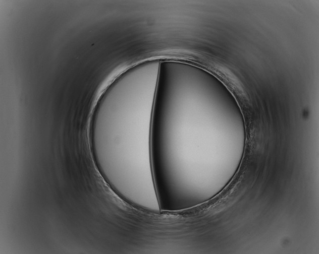 X0000100771180200806190926