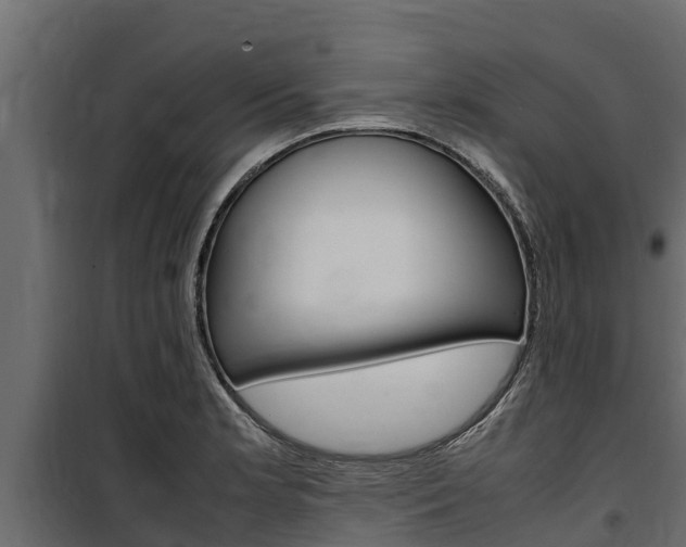 X0000100771181200806190926