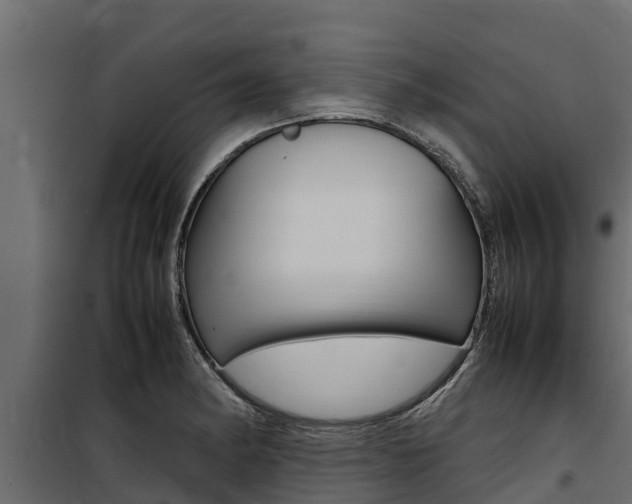 X0000100771182200806190926