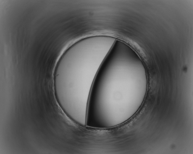 X0000100771184200806190926