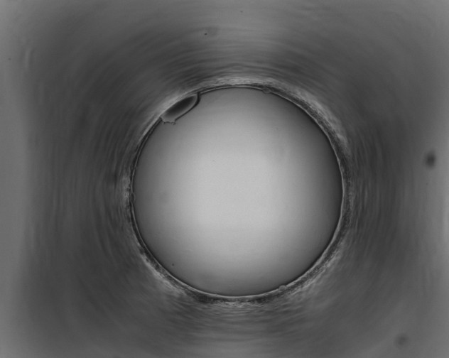 X0000100771185200806190926