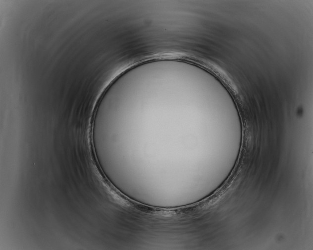 X0000100771186200806190926