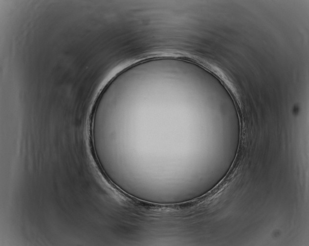 X0000100771187200806190926