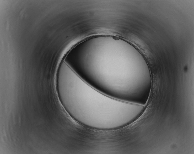 X0000100771188200806190926
