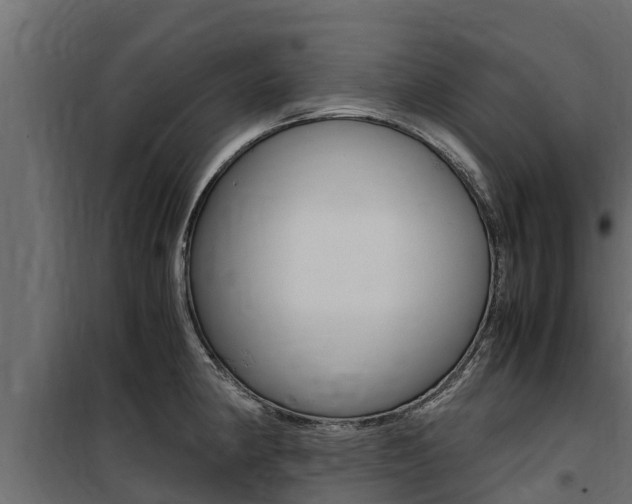 X0000100771190200806190926