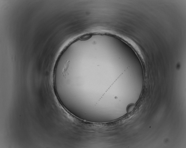 X0000100771191200806190926