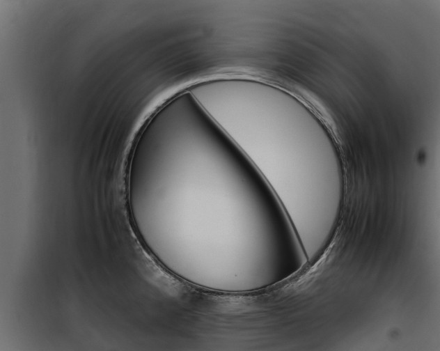 X0000100771192200806190926
