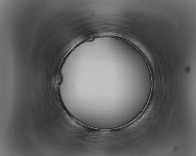 X0000100771193200806190926