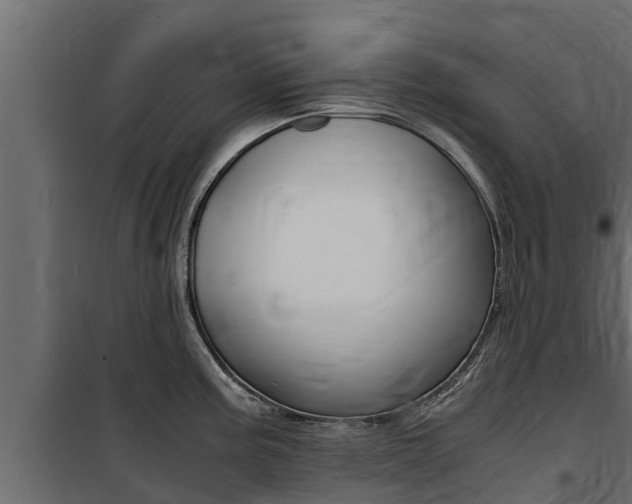 X0000100771195200806190926