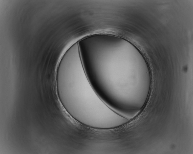 X0000100771200200806190925