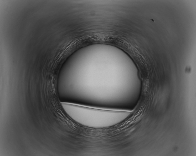 X0000100771202200806190925