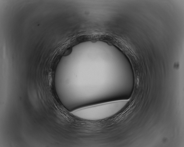 X0000100771204200806190925