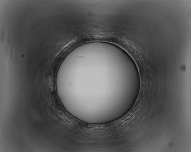 X0000100771205200806190925