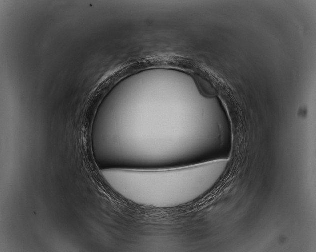 X0000100771206200806190925