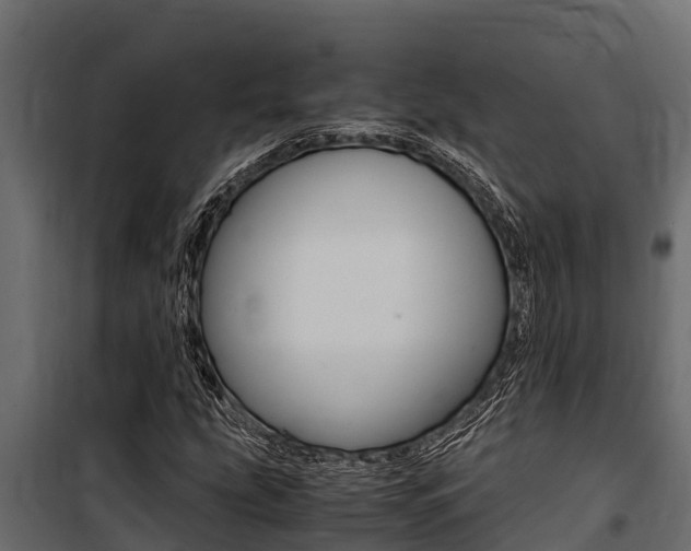 X0000100771207200806190925