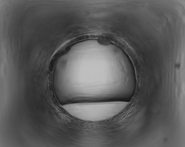 X0000100771208200806190925