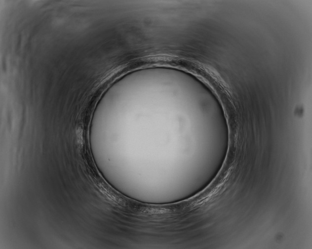 X0000100771209200806190925