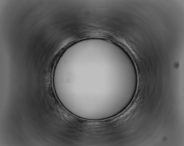 X0000100771211200806190925