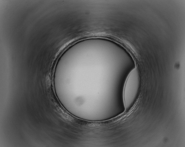 X0000100771212200806190925